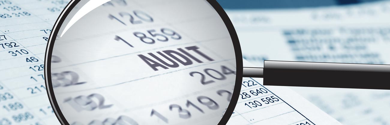 audit magnified